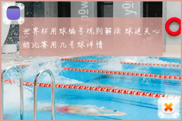 世界杯用球编号规则解读 球迷关心的比赛用几号球详情