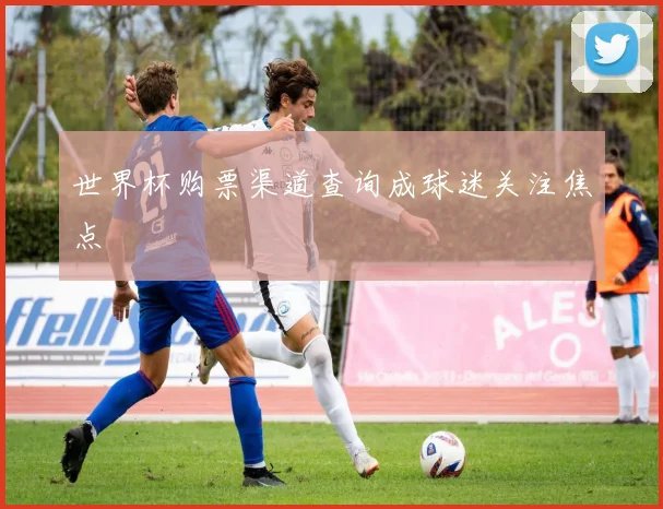 世界杯购票渠道查询成球迷关注焦点
