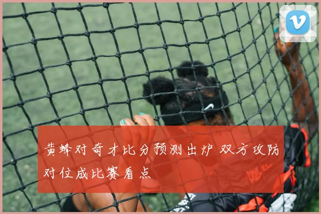 黄蜂对奇才比分预测出炉 双方攻防对位成比赛看点