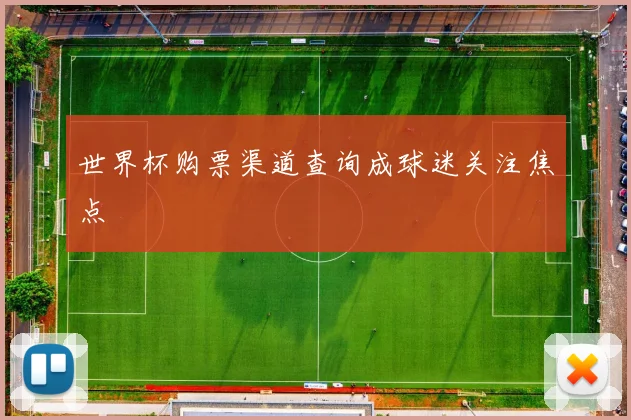 世界杯购票渠道查询成球迷关注焦点