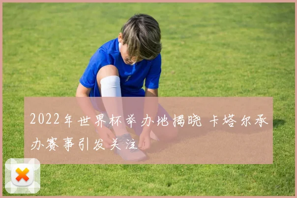 2022年世界杯举办地揭晓 卡塔尔承办赛事引发关注